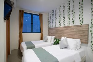 white hotel room with double twin beds and leafy vines hanging from the ceiling